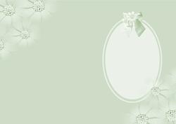 Daisy Insert 3