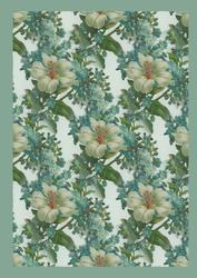 Forget-me-nots Backing Paper