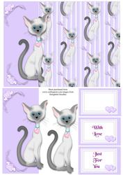 Cute Little Cat Card Front