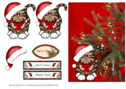 Xmas Cat Card Front