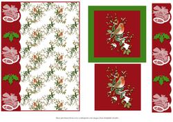 Xmas Robin Card Front