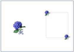 Blue Floral Insert