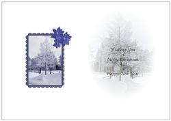 Blue Xmas Insert