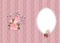 Pink Roses Insert