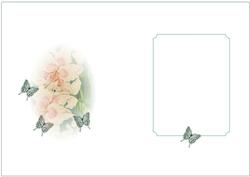 Flowers and Butterflies