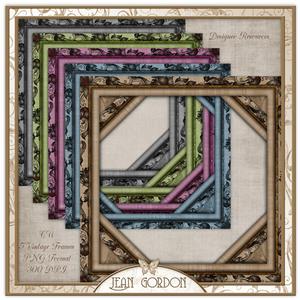 Cu Vintage Frames