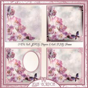 Cu Floral Papers and Frame