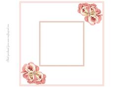 Pink Floral 8x8 Insert