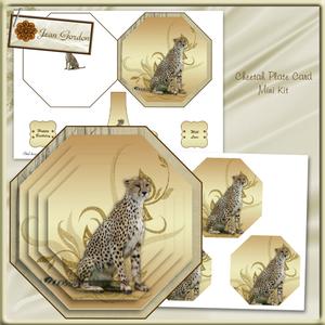 Cheetah Octagonal Plate Card Mini Kit