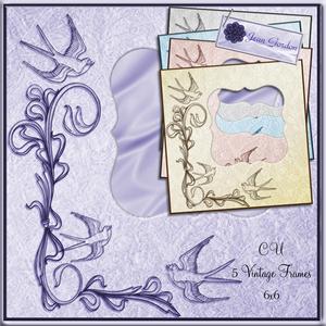 Cu 5 Vintage Frames Set 1