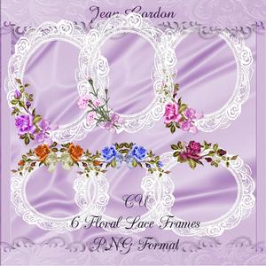 Cu 6 Floral Lace Frames
