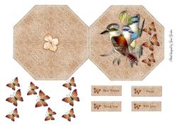 Birds & Butterflies