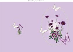 Flowers in Lace Frame with Butterflies