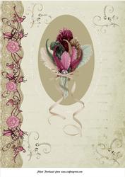 A4 Card Front with Framed Feather Cluster