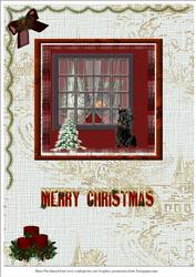 Scotty Dog at Window Xmas Card
