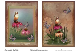 Birds, Flowers & Butterflies