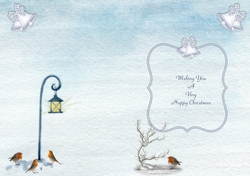 Christmas Robins Inert