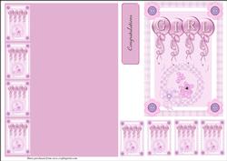 Baby Girl Congratulations Quick Card