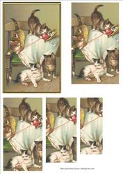 Cute Kittens Playing with a Ball of Wool
