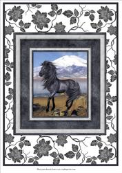 Black Beauty