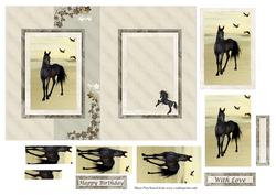 Black Horse on the Beach