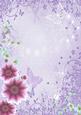 Flowers & Butterflies Backing Paper 2