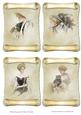 Vintage Ladies Scrolls