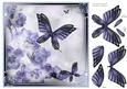 Butterfly Blue