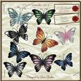 Cu 9 Butterflies Set 2