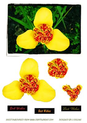 Yellow Flower Decoupage