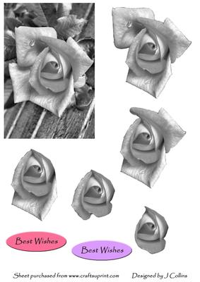 Black and White Rose Decoupage