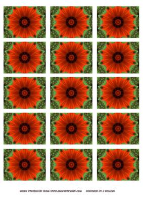 Red Floral Kaleidoscope Toppers