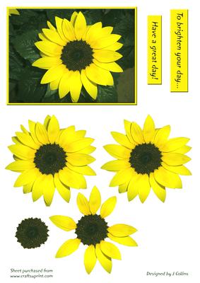 Sunflower Decoupage