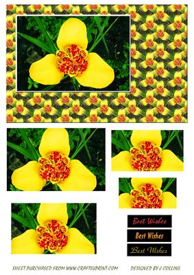 Yellow Flower Card Front