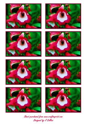 Pink Flower Toppers