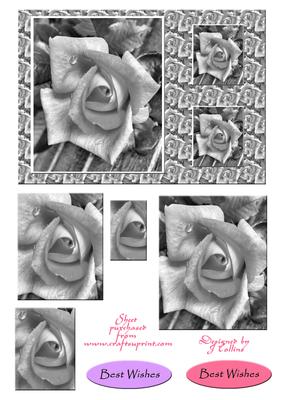Black & White Rose Card Front