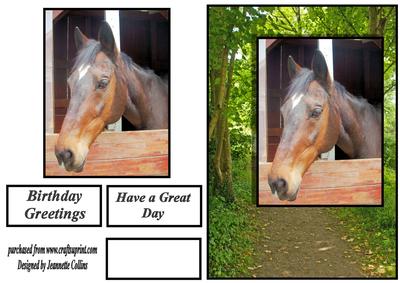 Me and My Horse