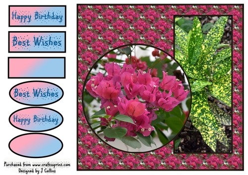 Pink Flowers Birthday v2