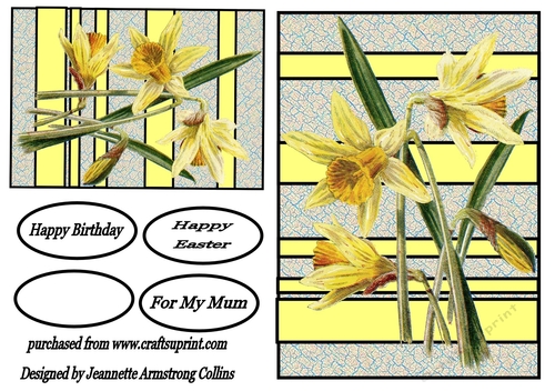 A Lovely Bunch of Daffs