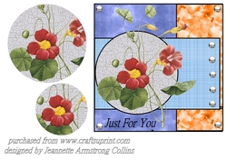 Nasturtiums