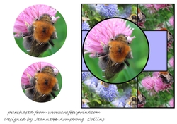 Busy Bees