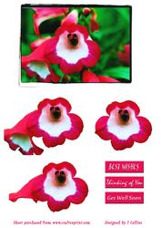 Pink Flowers Decoupage