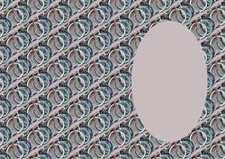 Bicycle Insert