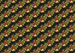Holly Background
