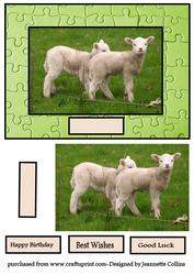 Little Lambs