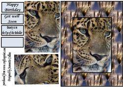 The Big Cat