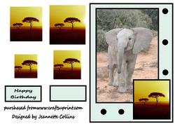 Wild Elephant