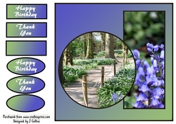 Bluebells