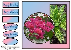 Pink Flowers Birthday