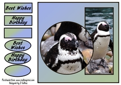 Penguins 2 Birthday